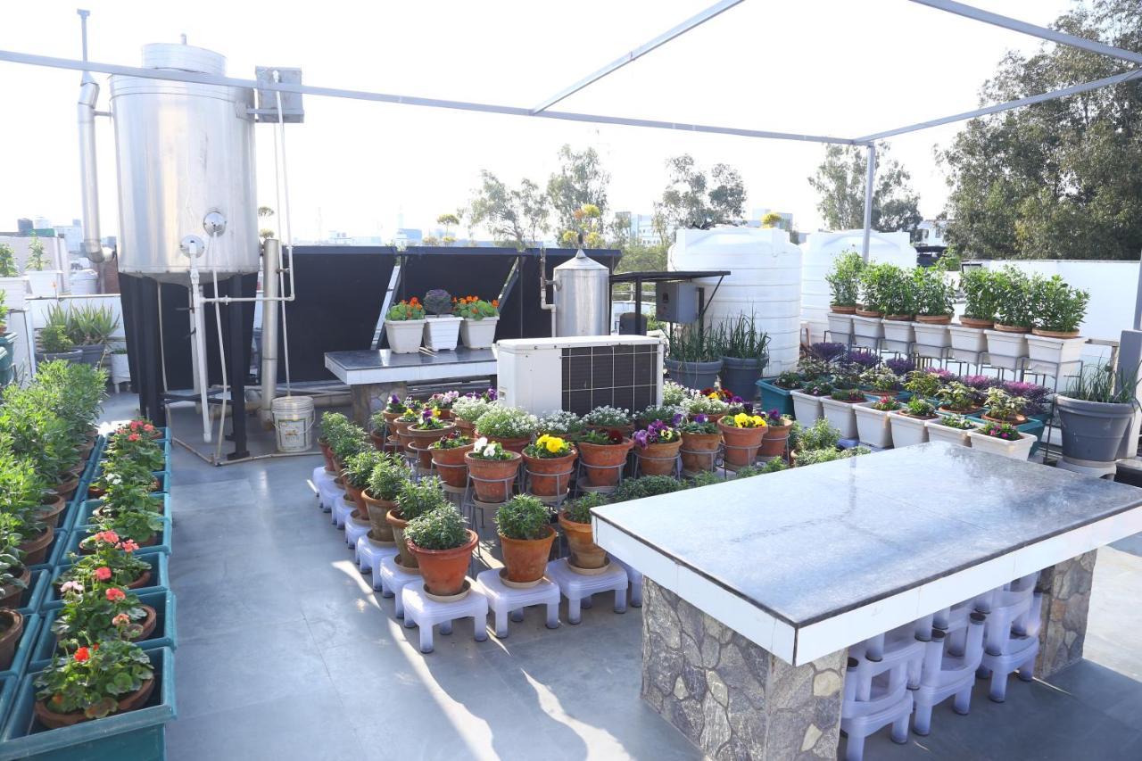 Joerose Villa Noida Ngoại thất bức ảnh